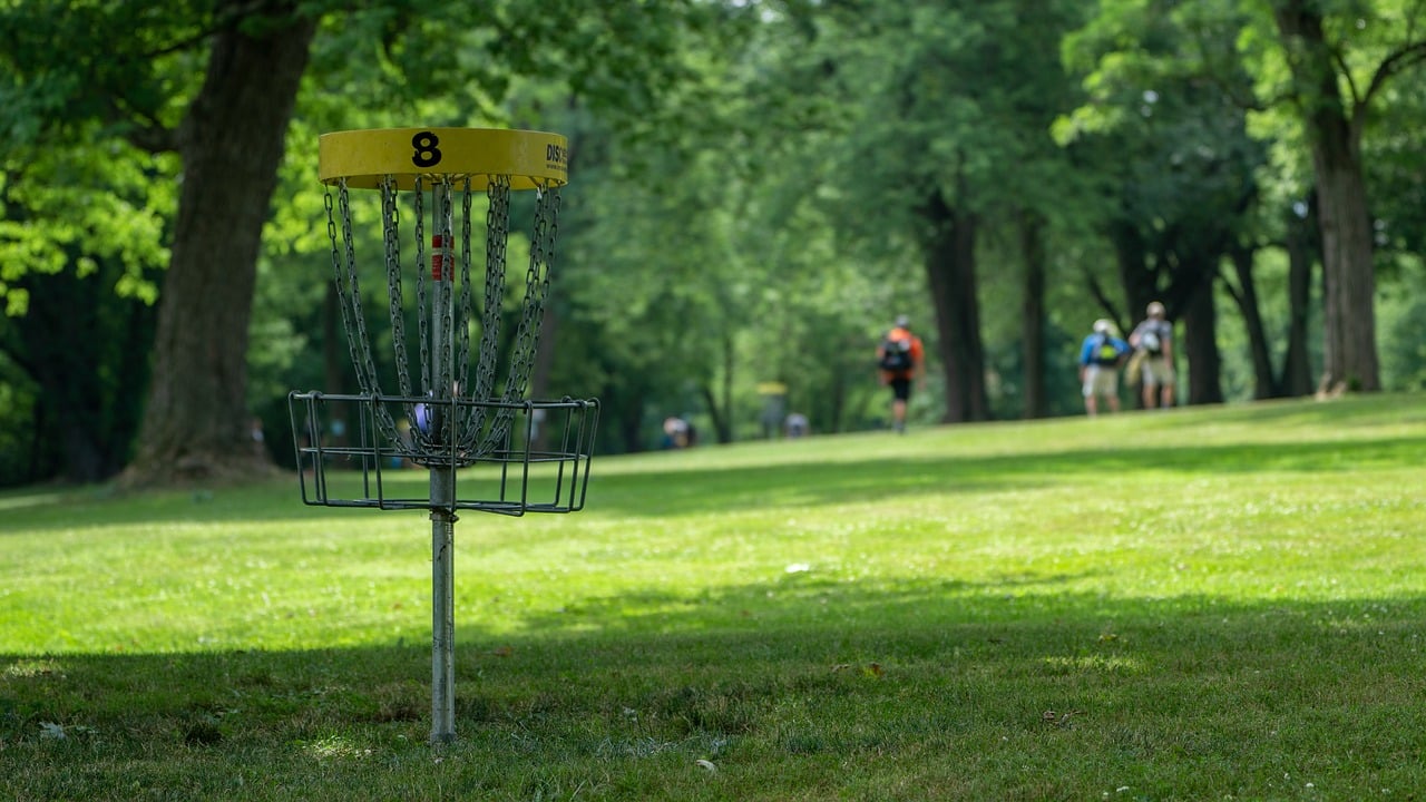 Disk Golf Wien mit Korb auf Wiese